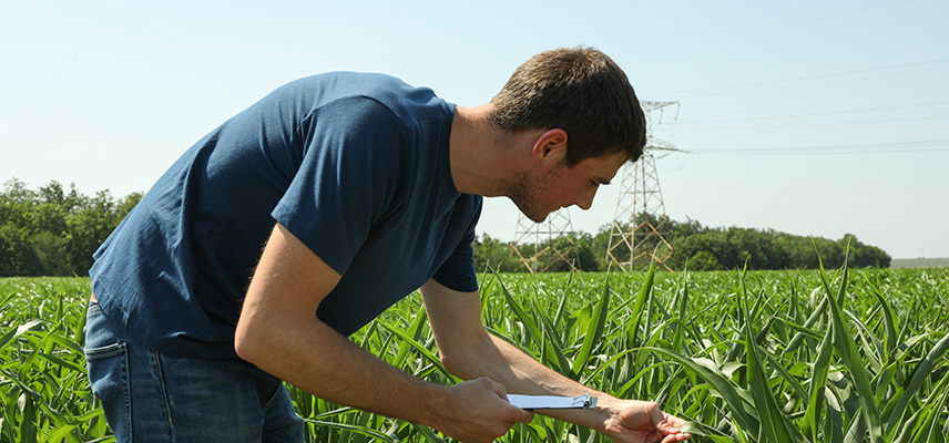 Was machen Agraringenieure?