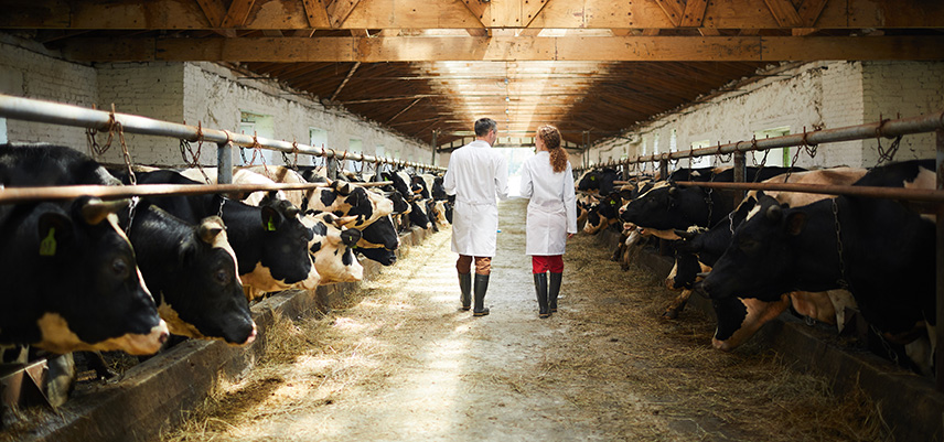 Was machen Agrartechniker?