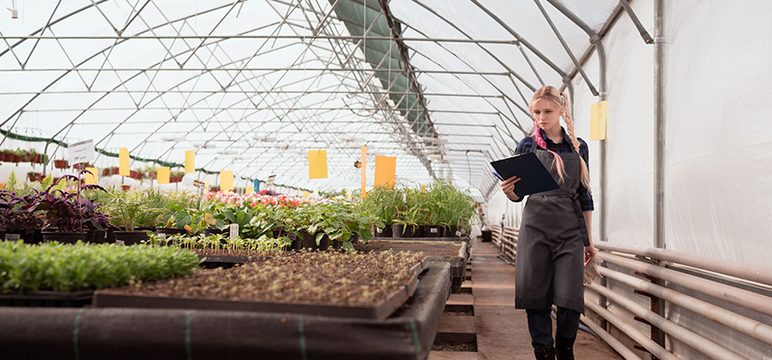 Was machen Ingenieure für Gartenbau?