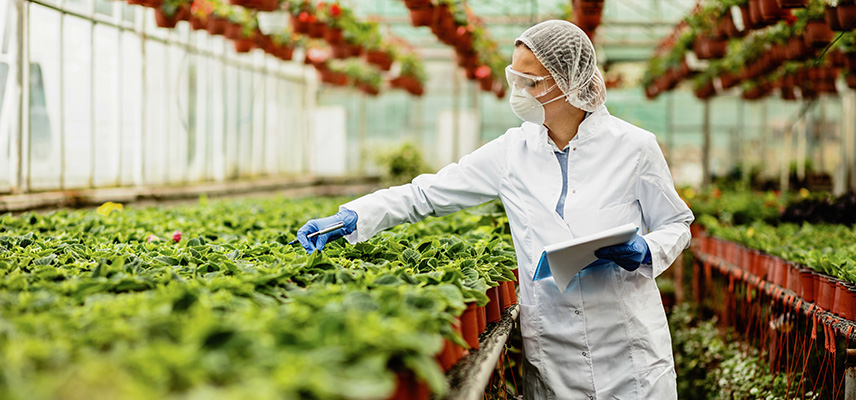 Was machen Ingenieure der Agrartechnik?