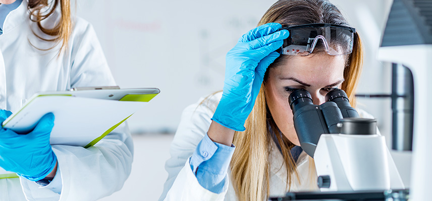 Was machen Ingenieure für Biotechnologie?