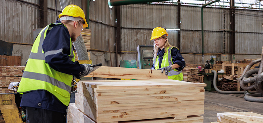 Was machen Ingenieure für Holztechnik?