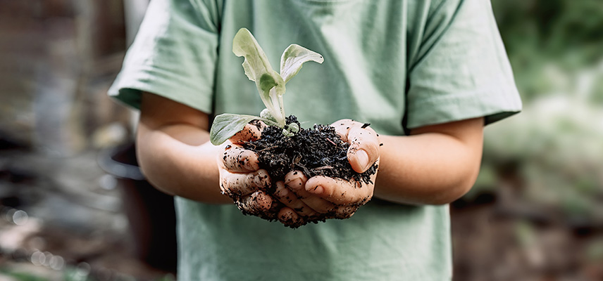 Was machen Ingenieure für Umweltschutz und Umwelttechnik?