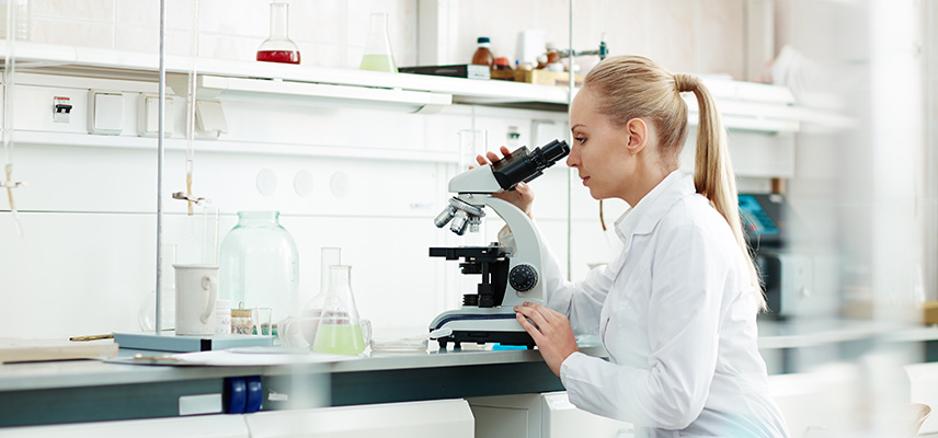 Was machen Leiter - Forschung und Entwicklung?